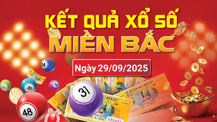 Giới thiệu về 8x Bet: Đánh giá và thông tin cần biết